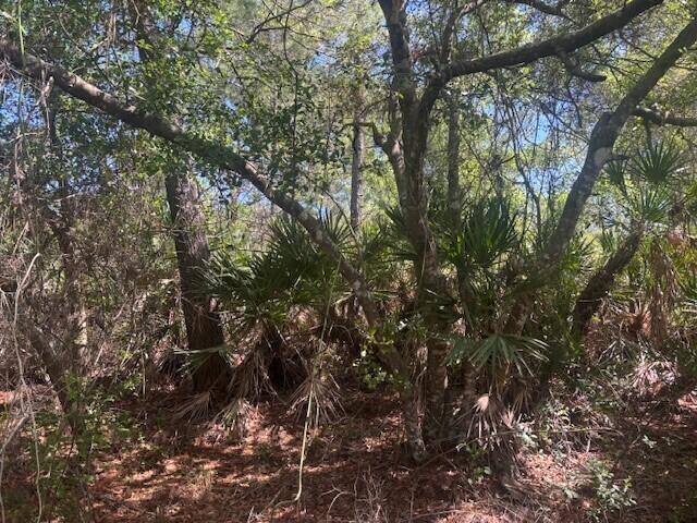   / 0  sq. ft. $ 2026-06-15 0 foto