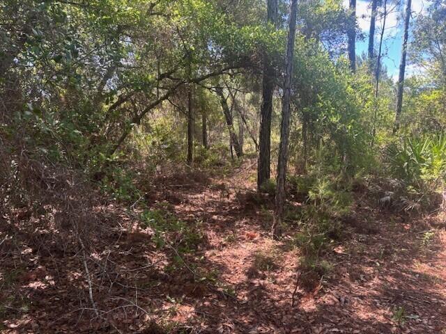   / 0  sq. ft. $ 2026-06-15 0 foto