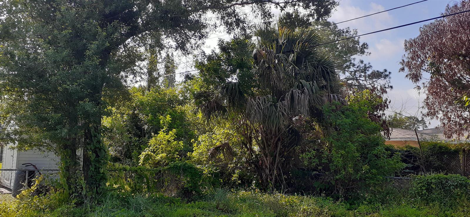   / 0  sq. ft. $ 2026-06-15 0 foto