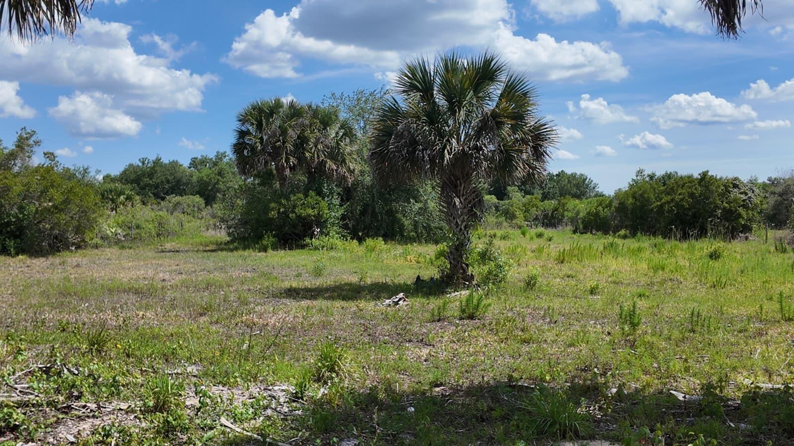   / 0  sq. ft. $ 2026-06-15 0 foto