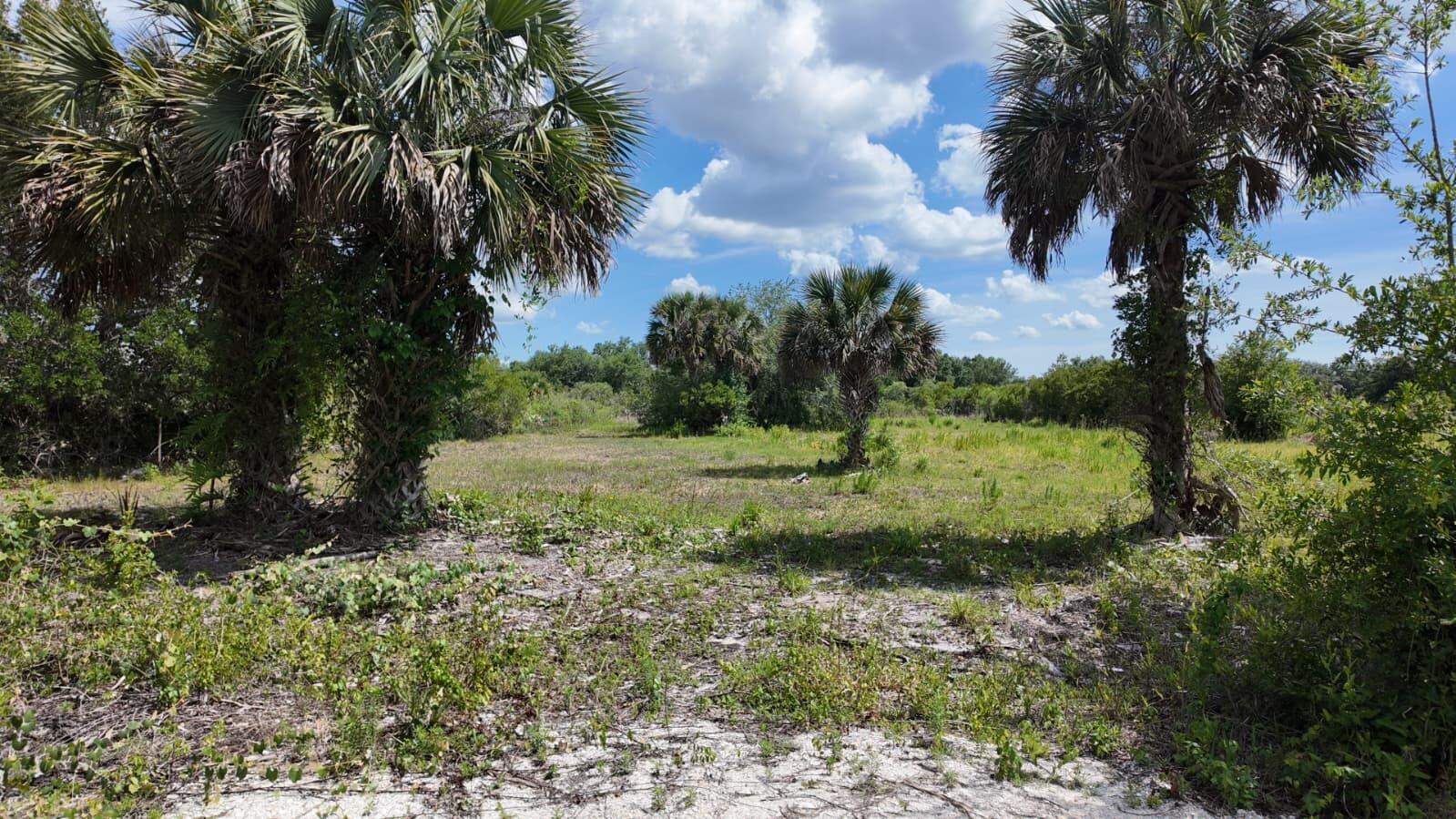  / 0  sq. ft. $ 2026-06-15 0 foto