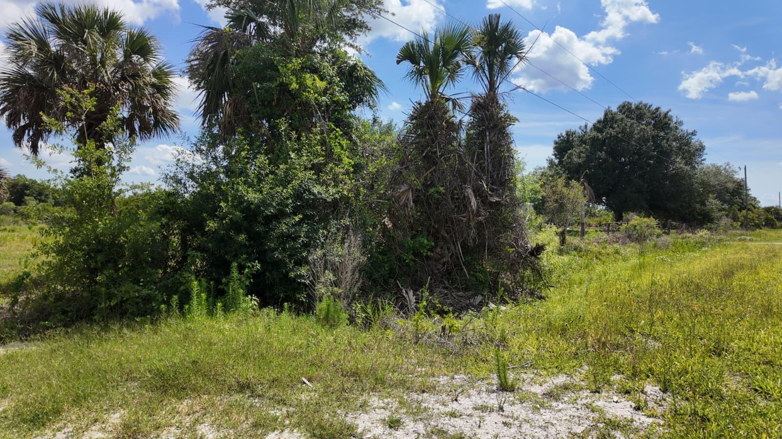   / 0  sq. ft. $ 2026-06-15 0 foto
