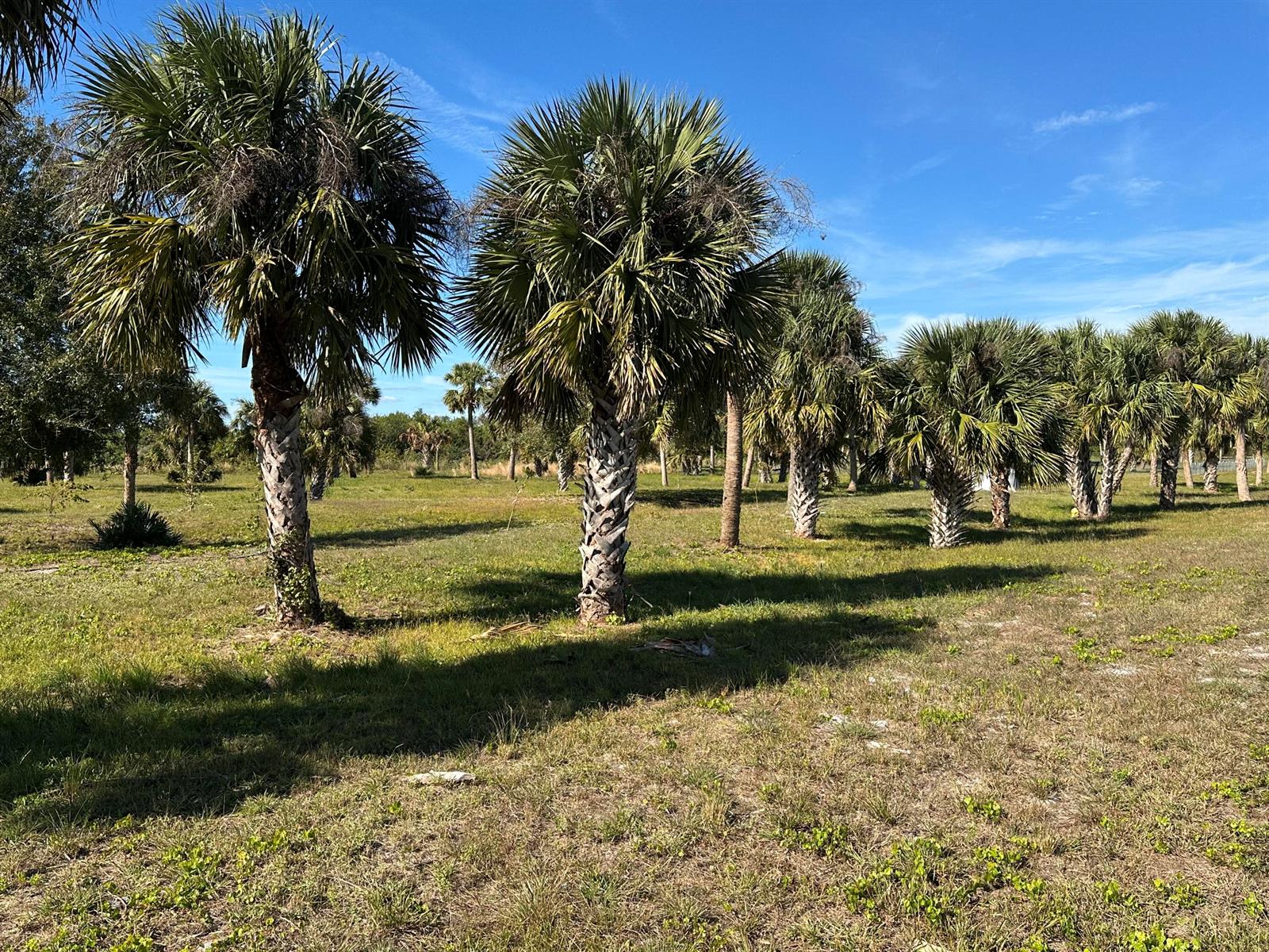   / 0  sq. ft. $ 2026-06-15 0 foto