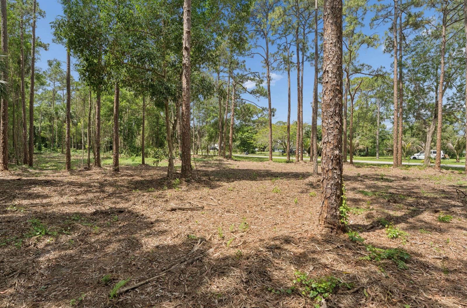   / 0  sq. ft. $ 2026-06-15 0 foto