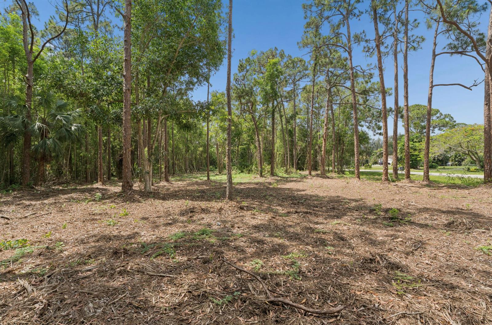   / 0  sq. ft. $ 2026-06-15 0 foto