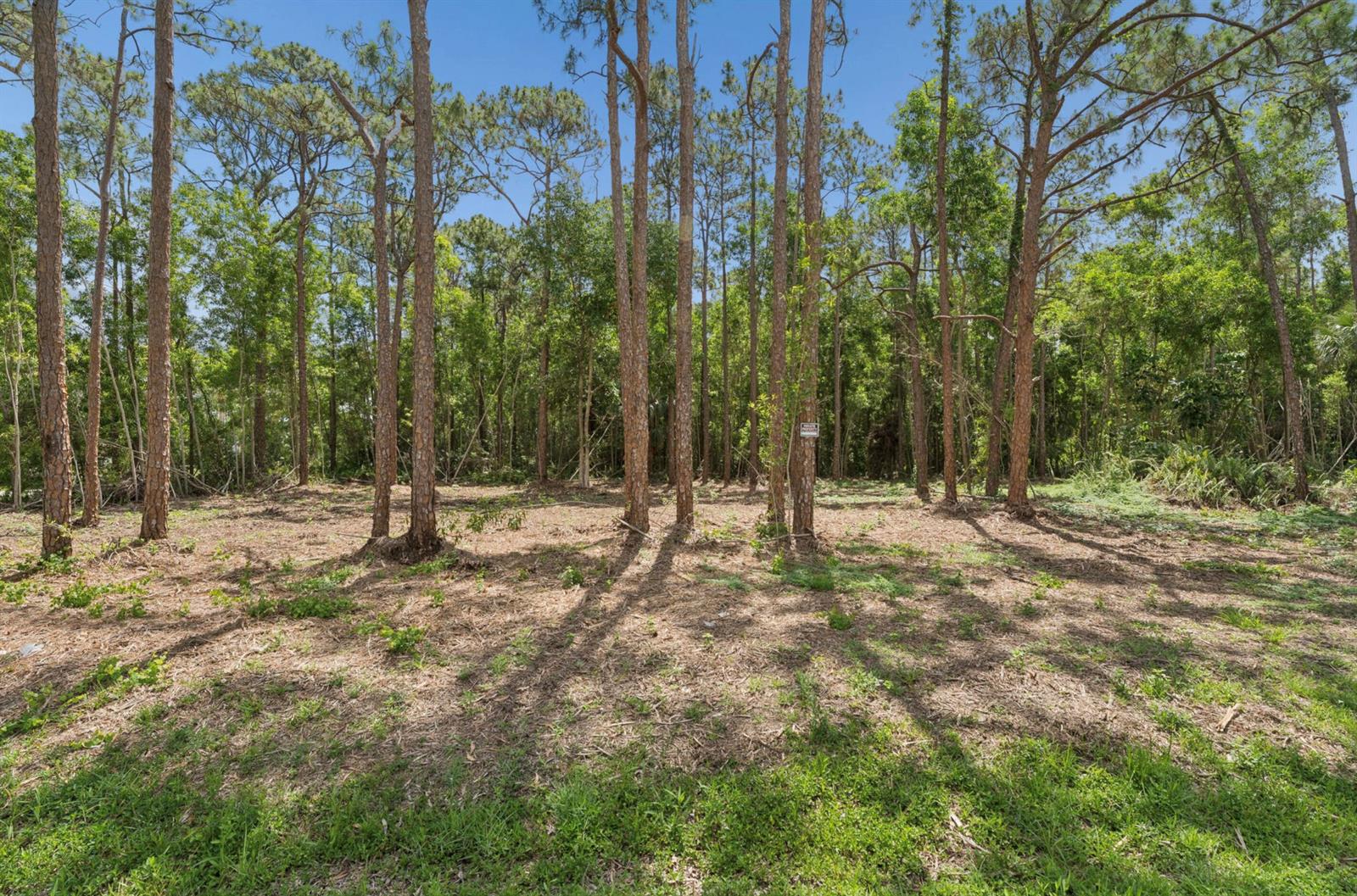   / 0  sq. ft. $ 2026-06-15 0 foto