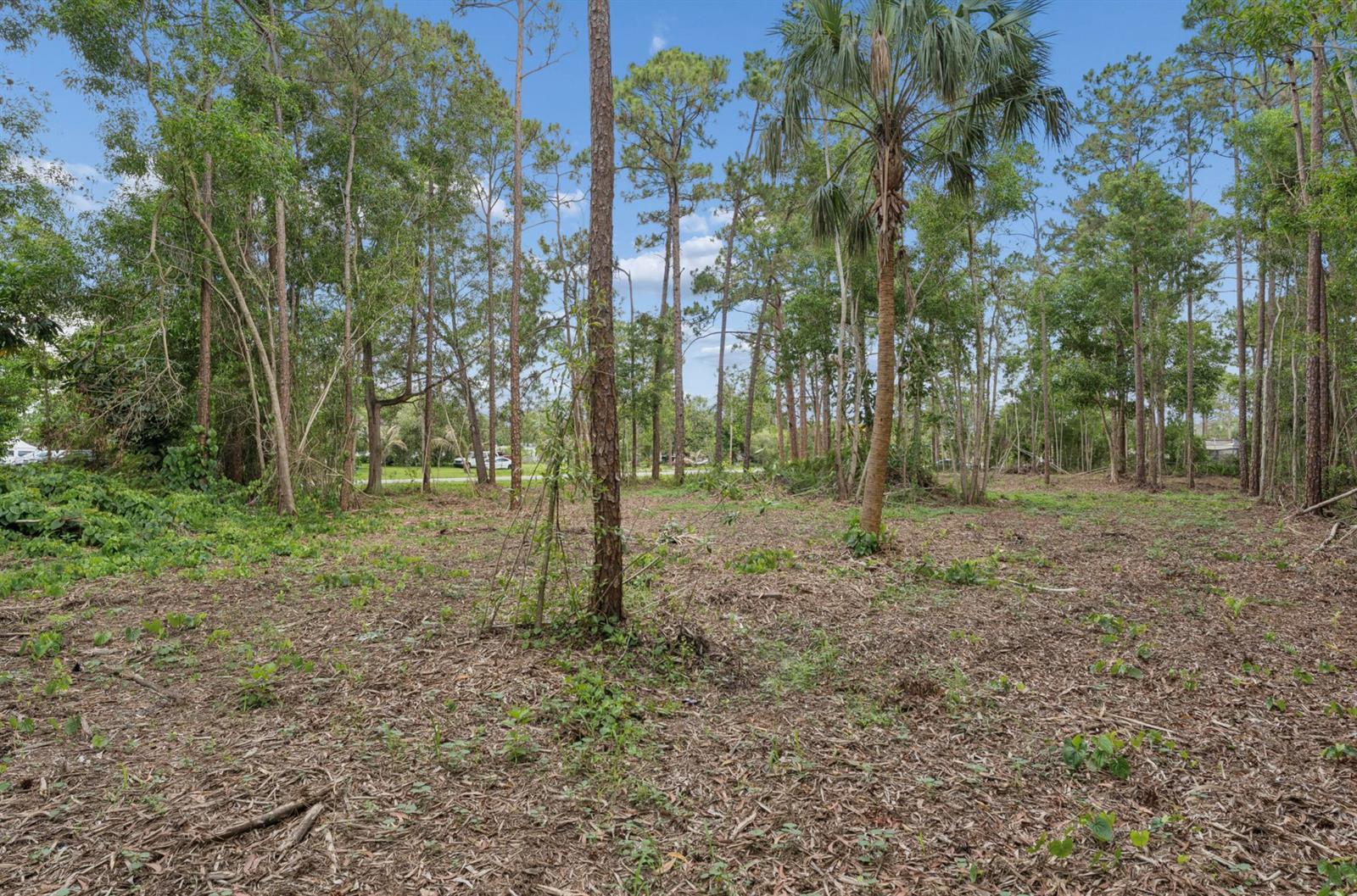   / 0  sq. ft. $ 2026-06-15 0 foto