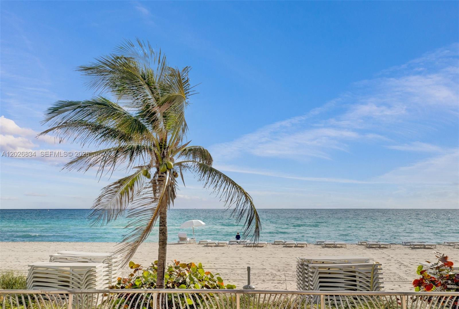 See details 3309 3 / 4 3063 sq. ft. $ 2026-06-17 0 Photo