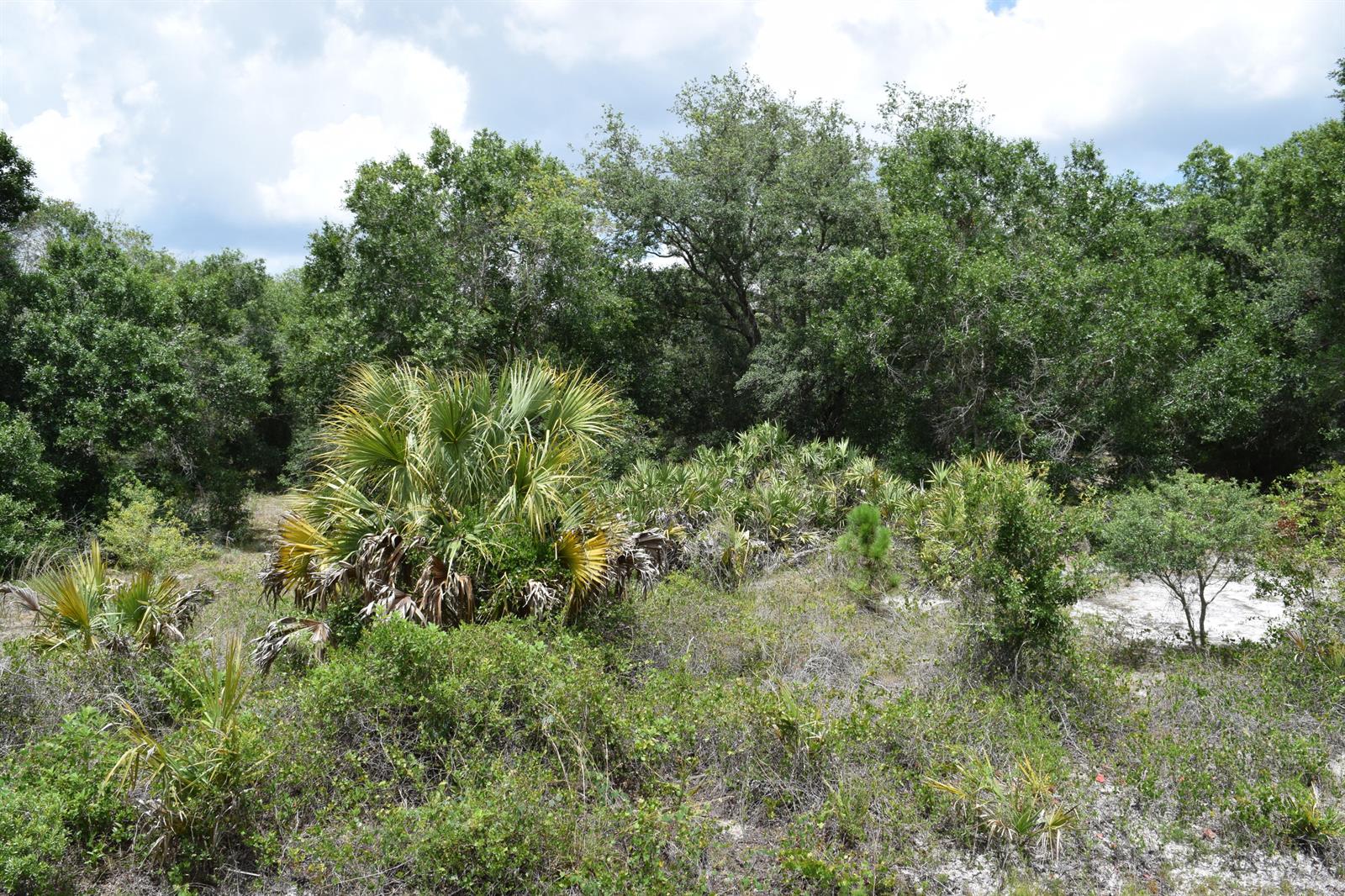   / 0  sq. ft. $ 2026-06-15 0 foto