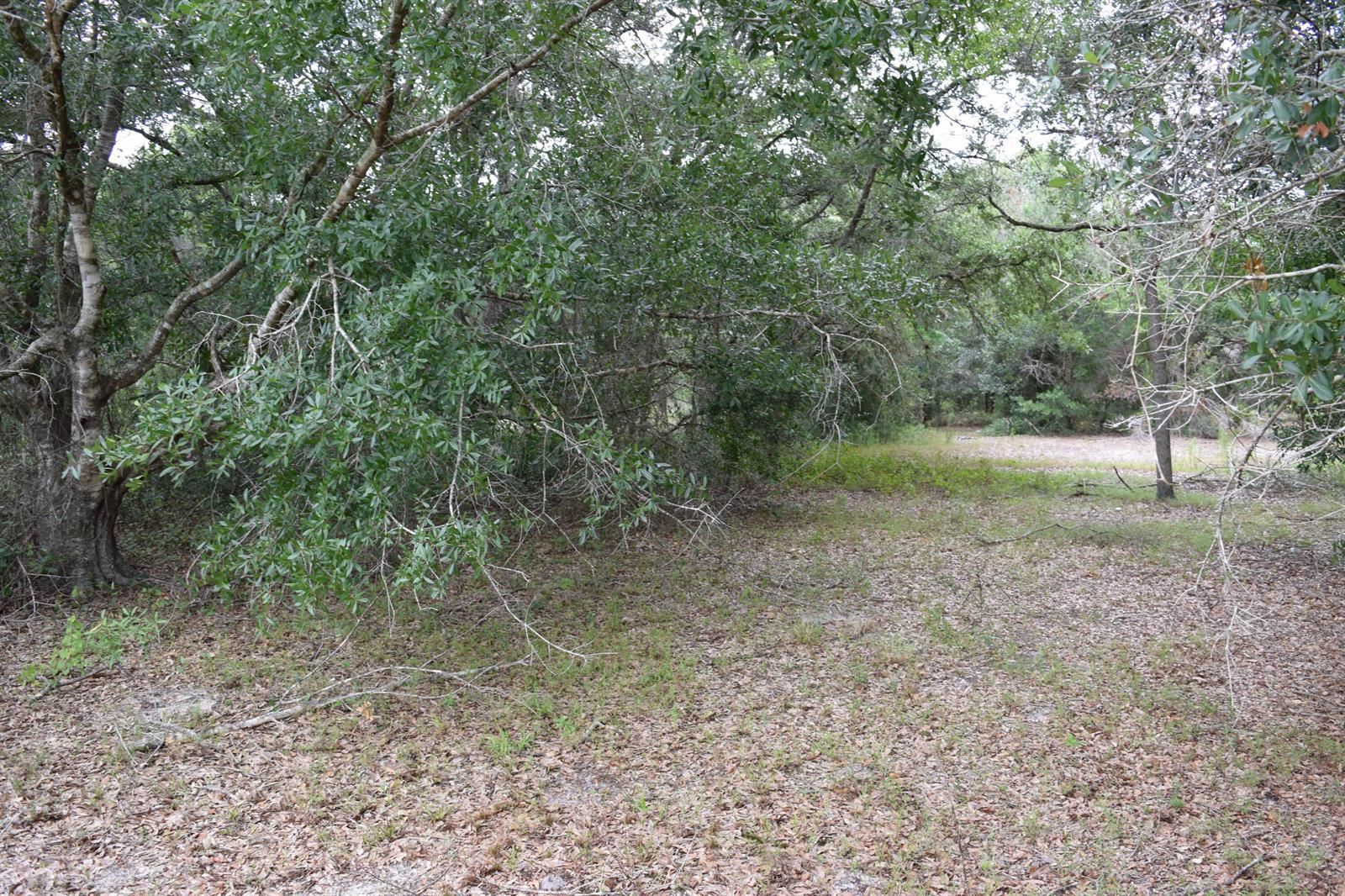   / 0  sq. ft. $ 2026-06-15 0 foto