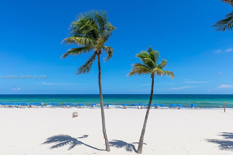 Photo of 2401 Ocean Dr #404, Hollywood, Florida, 33019 -