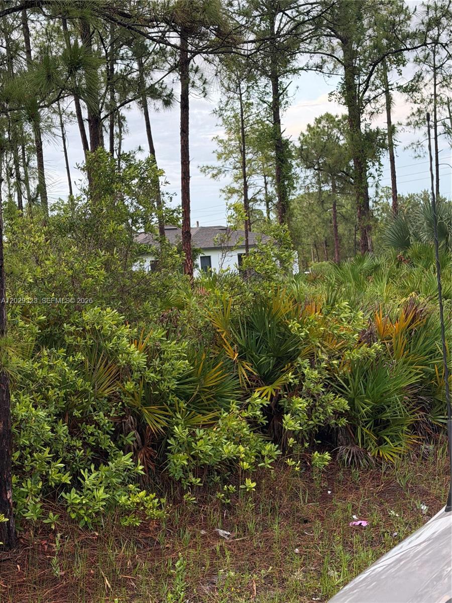 See details / sq. ft. $ 2026-06-02 0 Photo