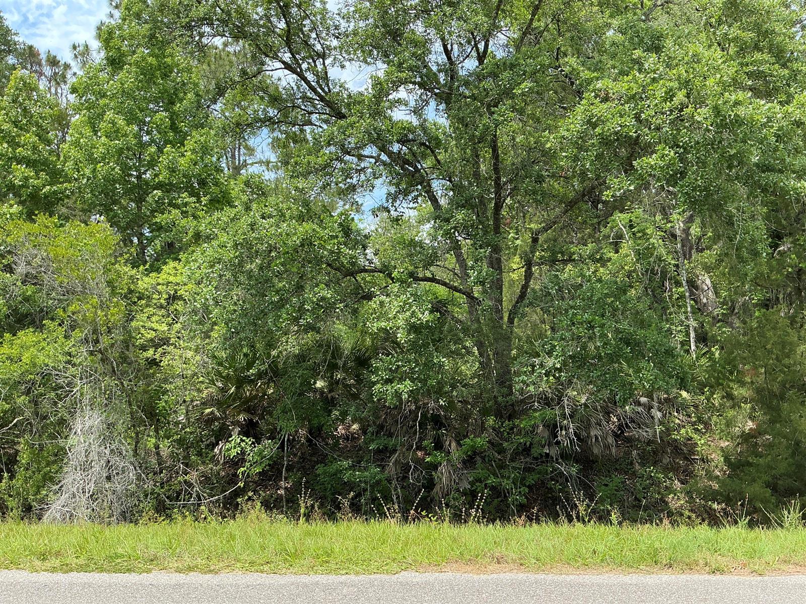   / 0  sq. ft. $ 2026-06-19 0 foto
