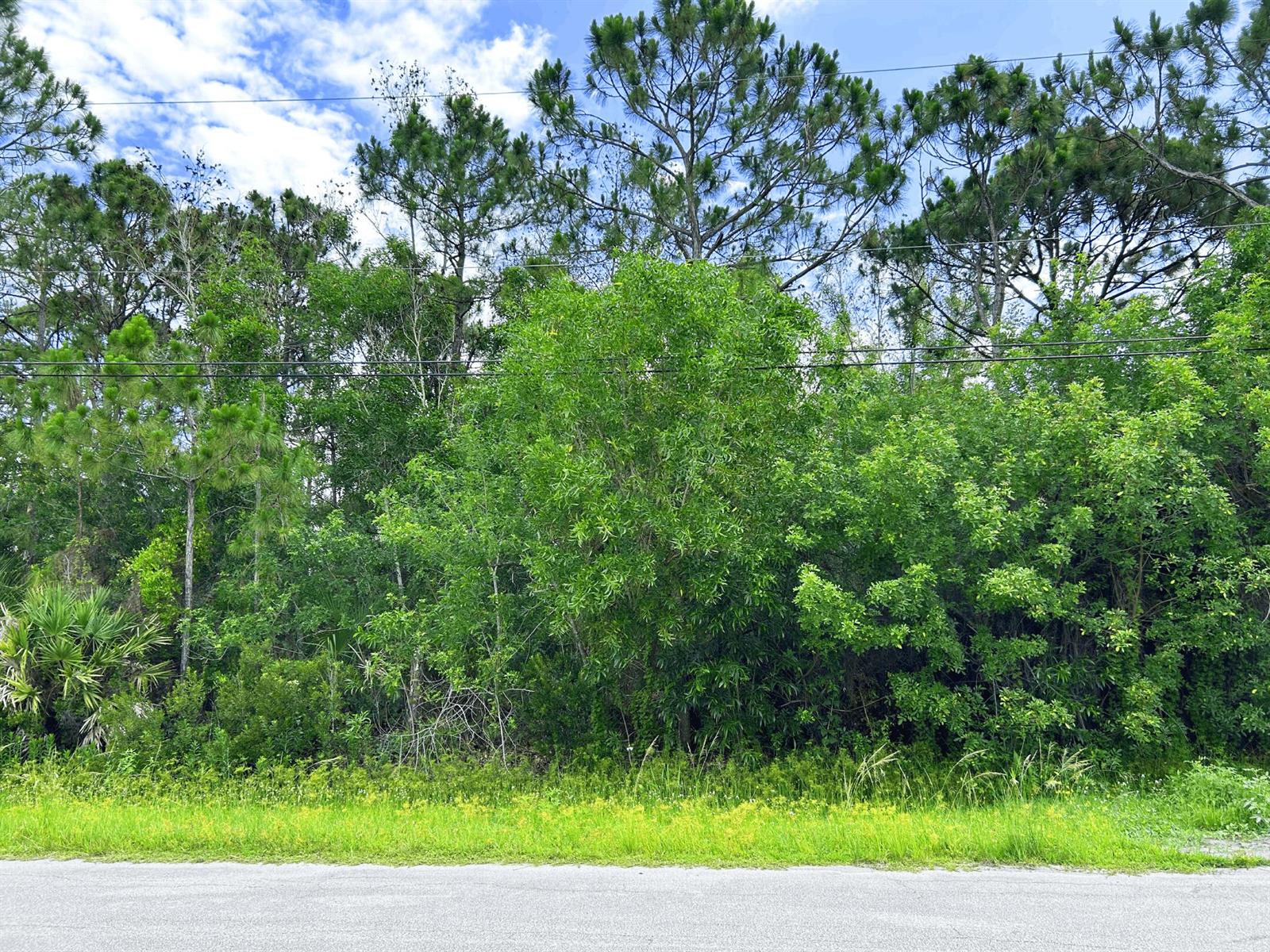   / 0  sq. ft. $ 2026-06-15 0 foto