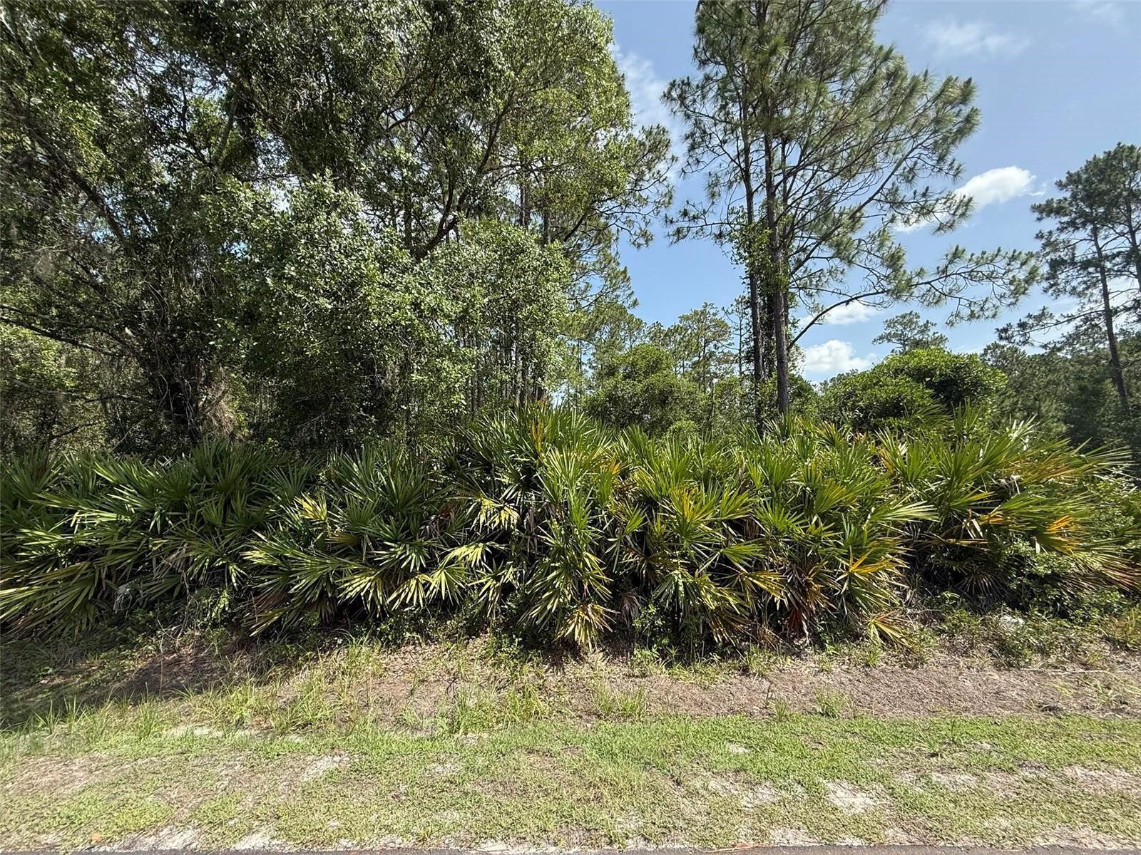   / 0  sq. ft. $ 2026-06-19 0 Photo