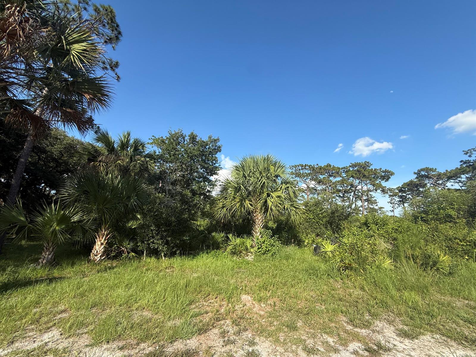   / 0  sq. ft. $ 2026-07-12 0 foto