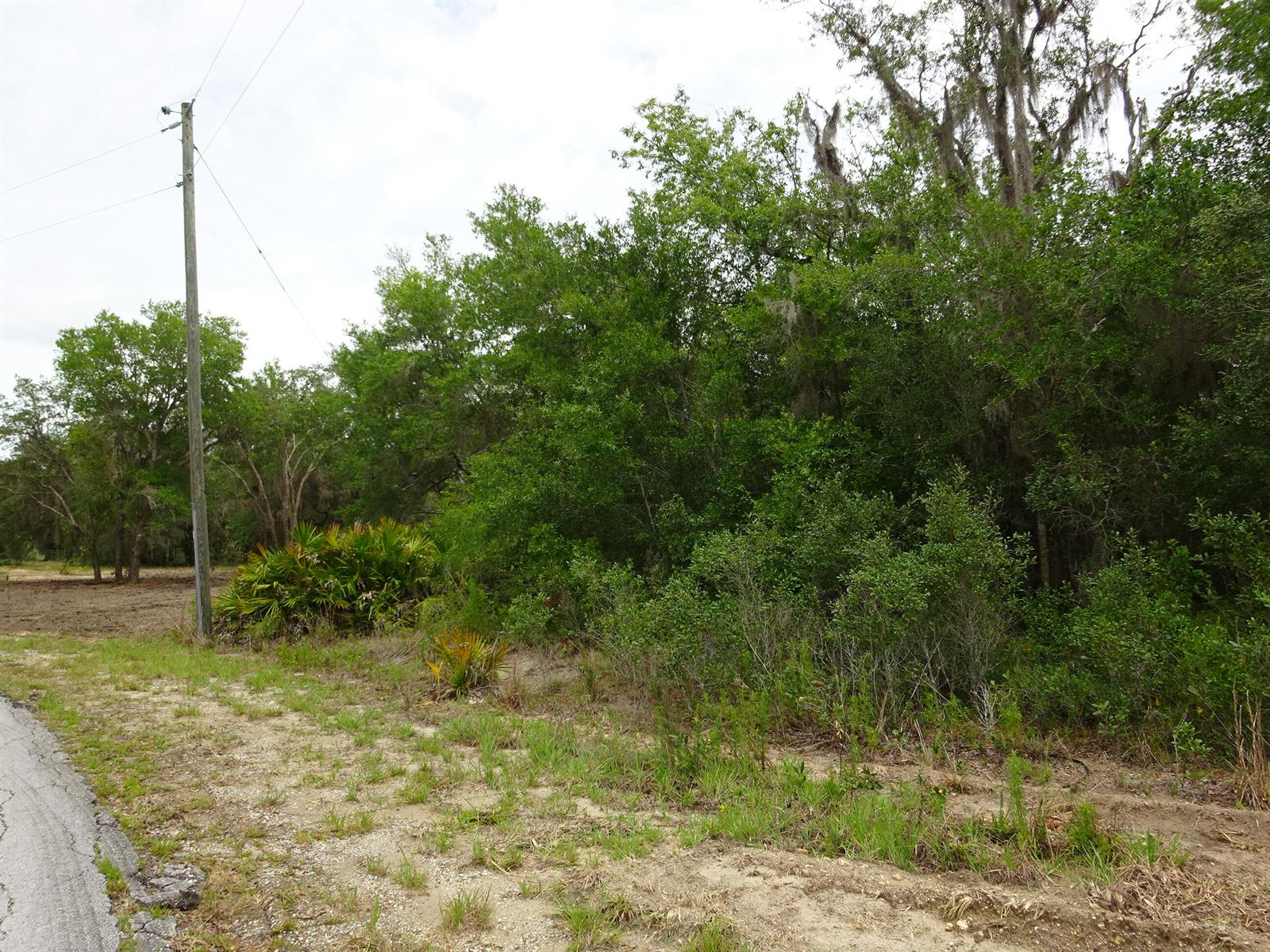 Ver detalles / 0 sq. ft. $ 2026-06-22 0 foto