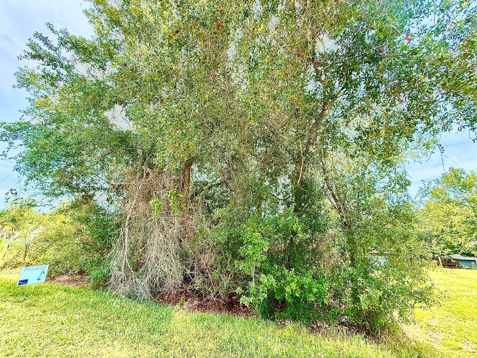 See details / 0 sq. ft. $ 2026-08-20 0 Photo