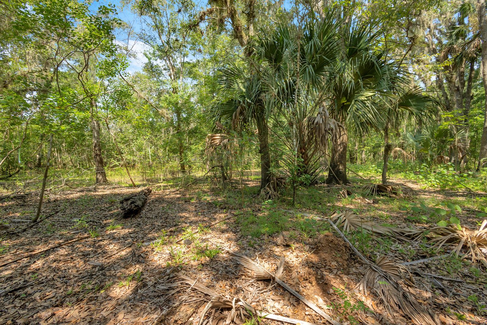   / 0  sq. ft. $ 2026-09-04 0 foto