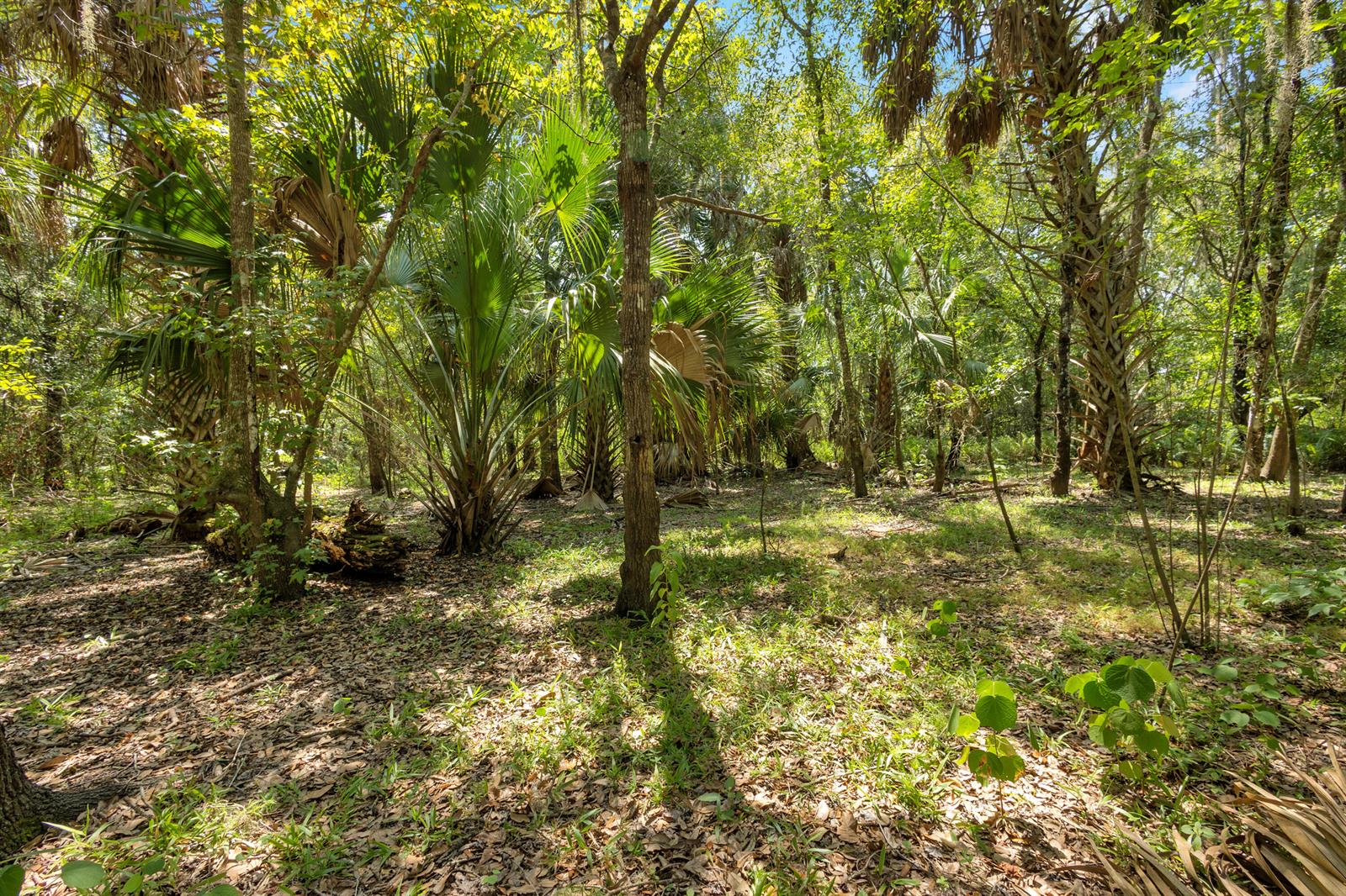   / 0  sq. ft. $ 2026-09-04 0 foto