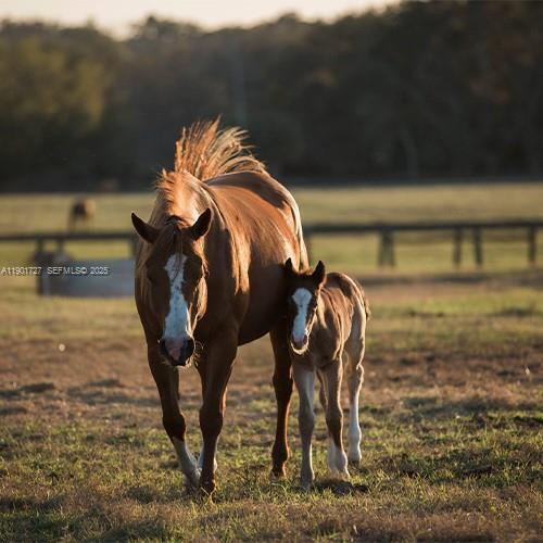   / 0  sq. ft. $ 2026-06-25 0 Photo
