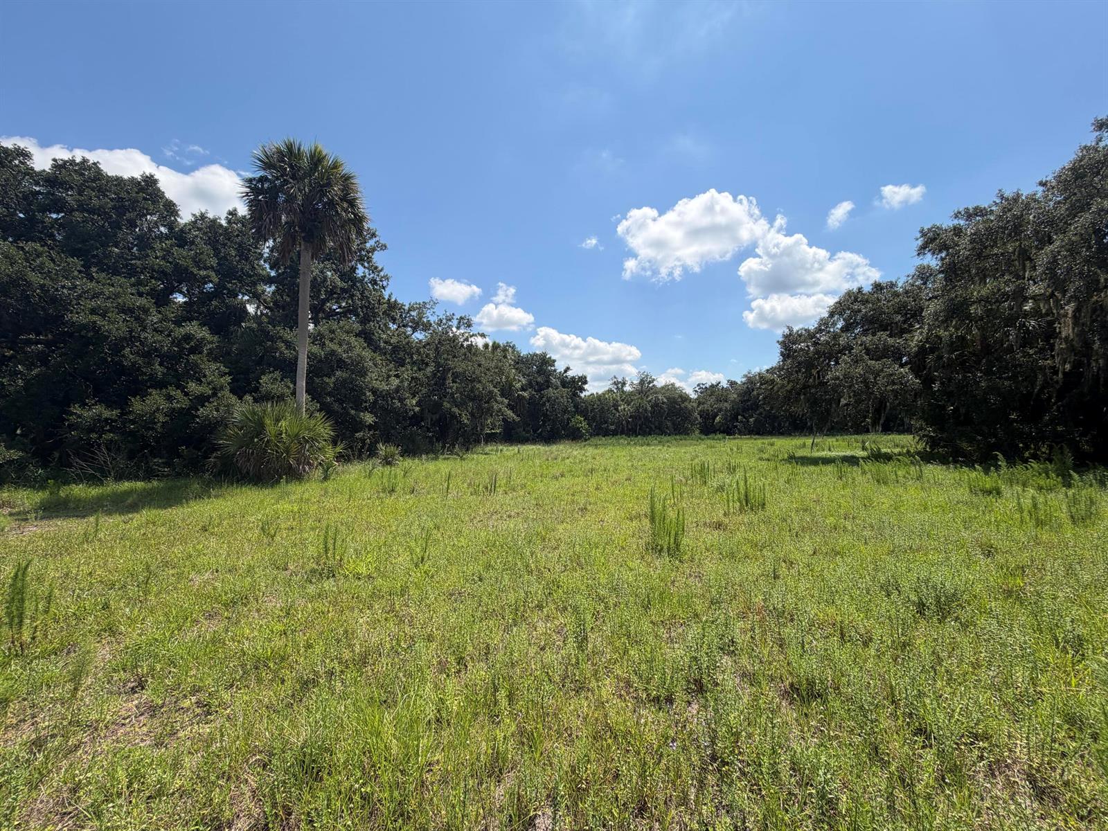   / 0  sq. ft. $ 2026-06-26 0 foto