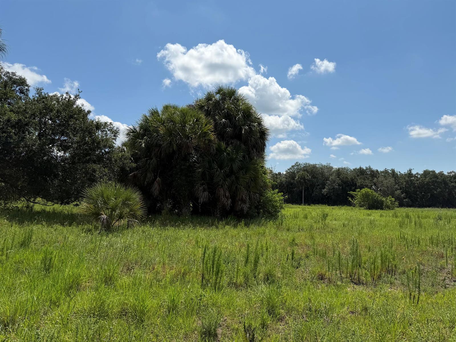   / 0  sq. ft. $ 2026-06-26 0 foto