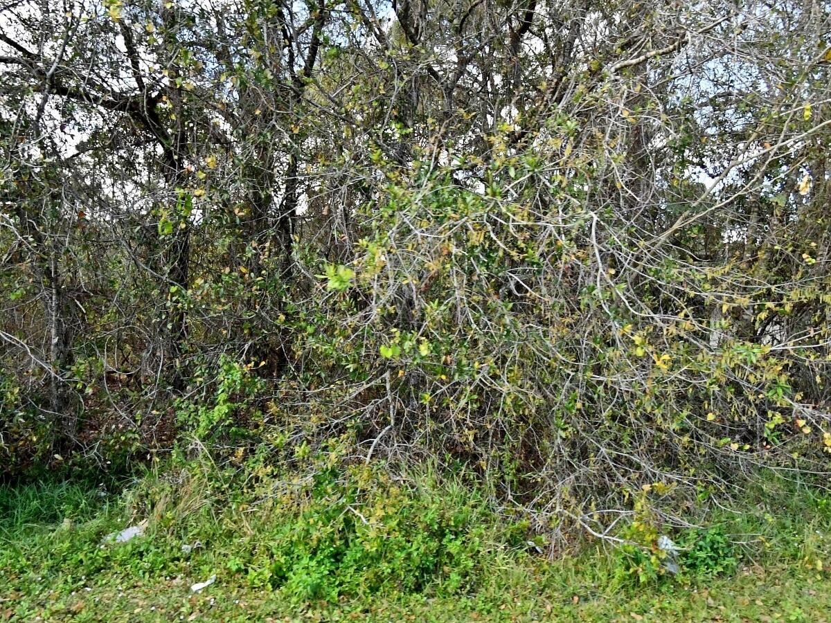   / 0  sq. ft. $ 2026-06-26 0 foto