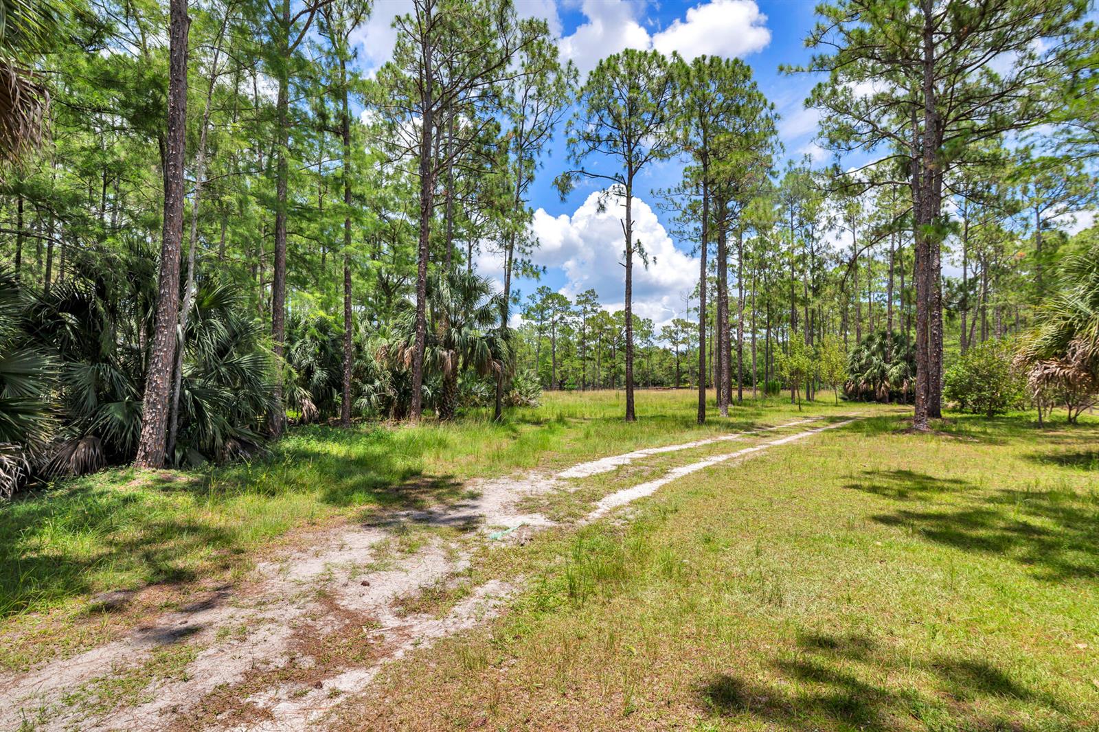   / 0  sq. ft. $ 2026-06-26 0 foto