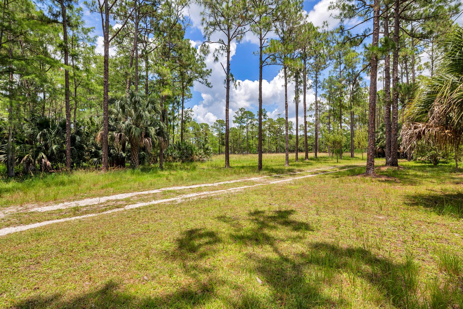   / 0  sq. ft. $ 2026-06-26 0 foto
