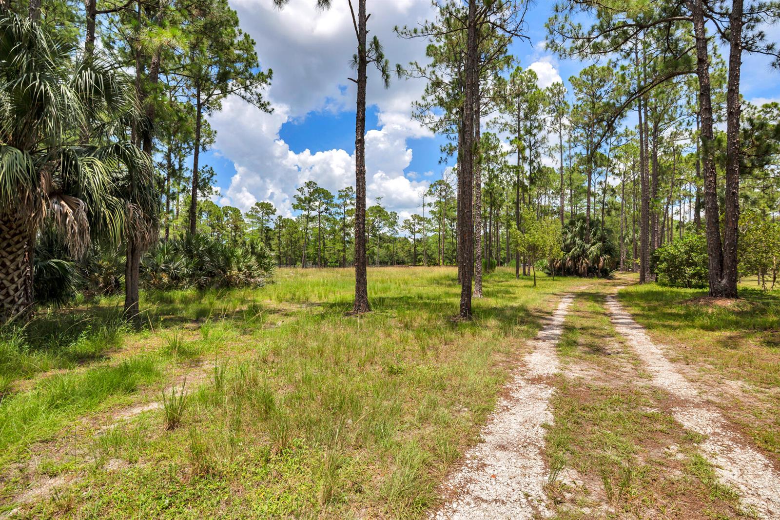   / 0  sq. ft. $ 2026-06-26 0 foto