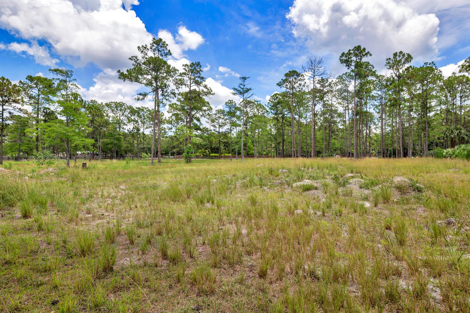   / 0  sq. ft. $ 2026-06-26 0 foto