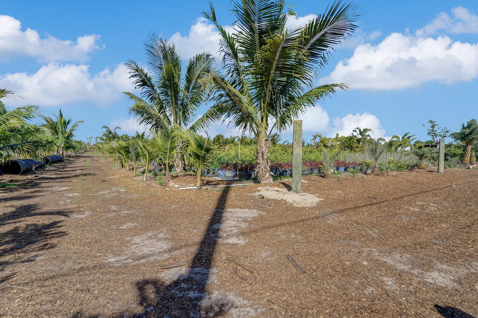   / 0  sq. ft. $ 2026-06-26 0 foto