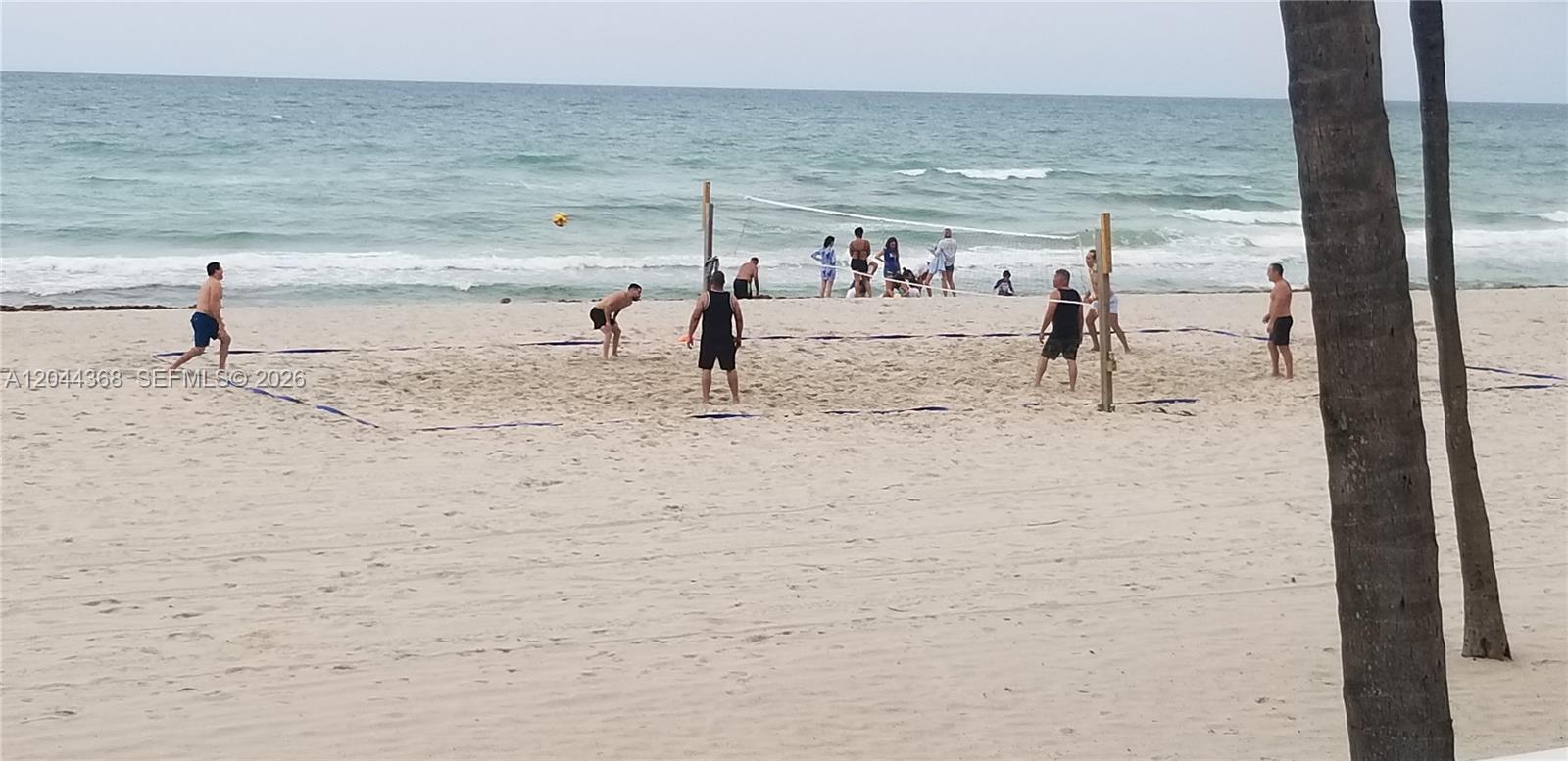 Photo of 1600 Ocean Dr  #12F, Hollywood, Florida, 33019 - play vollyball at the beach