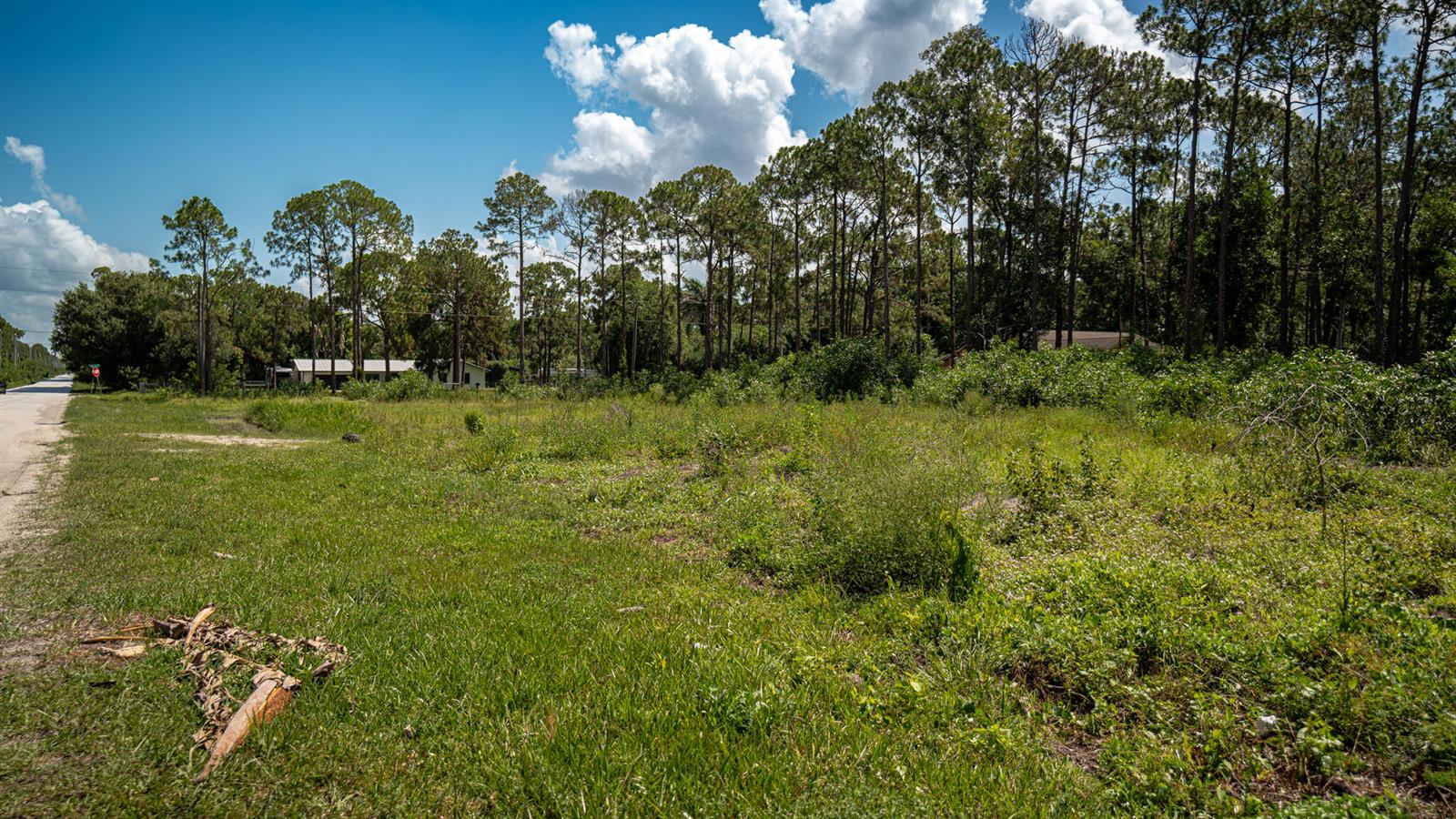   / 0  sq. ft. $ 2026-06-30 0 Photo