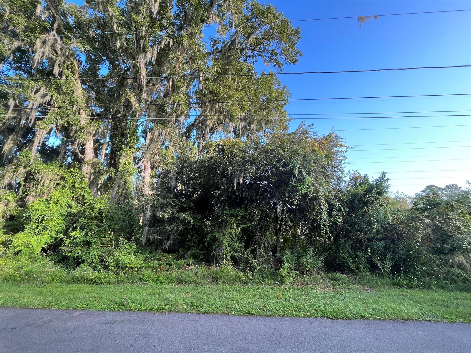   / 0  sq. ft. $ 2026-06-30 0 foto