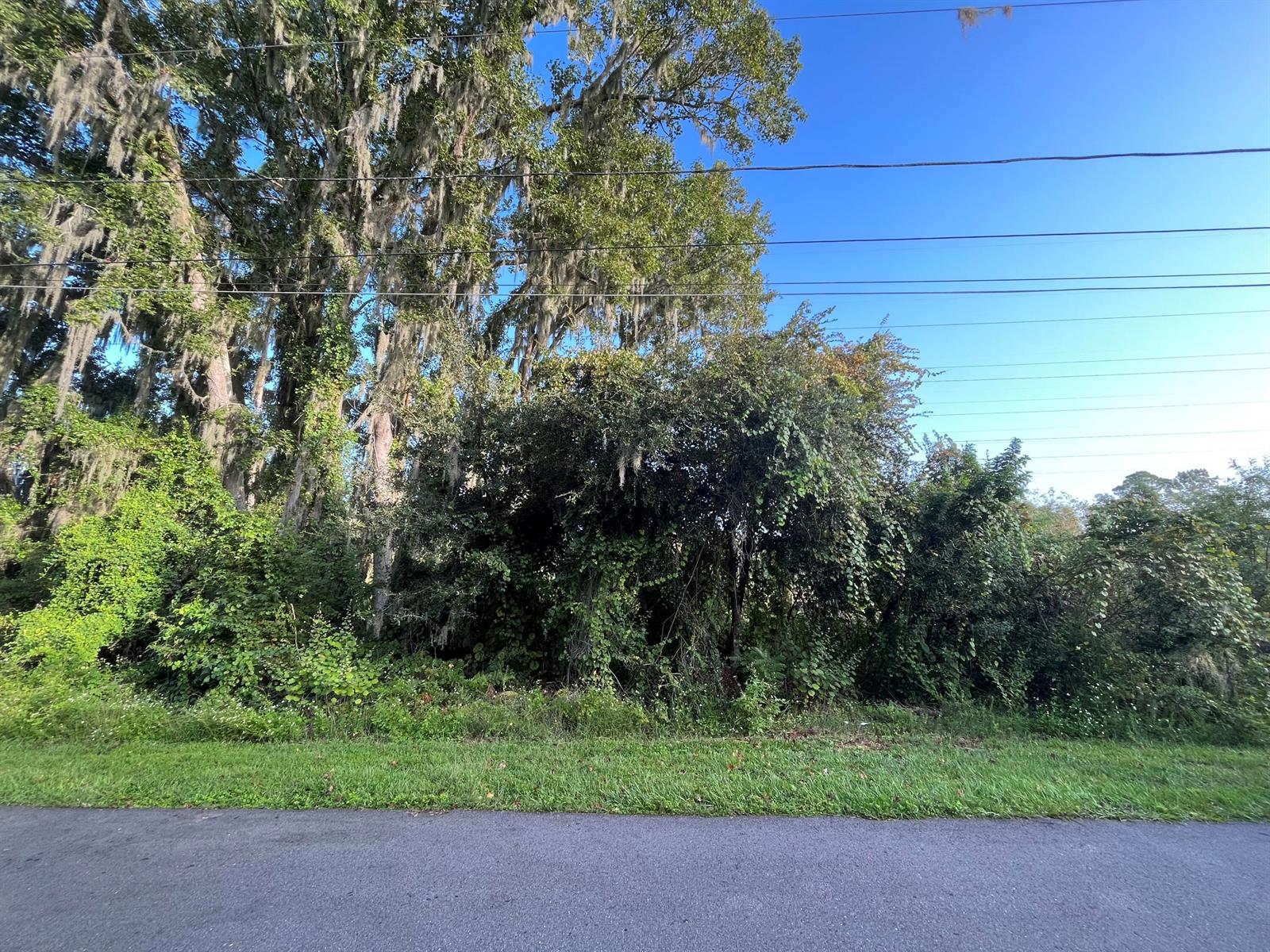   / 0  sq. ft. $ 2026-06-30 0 foto