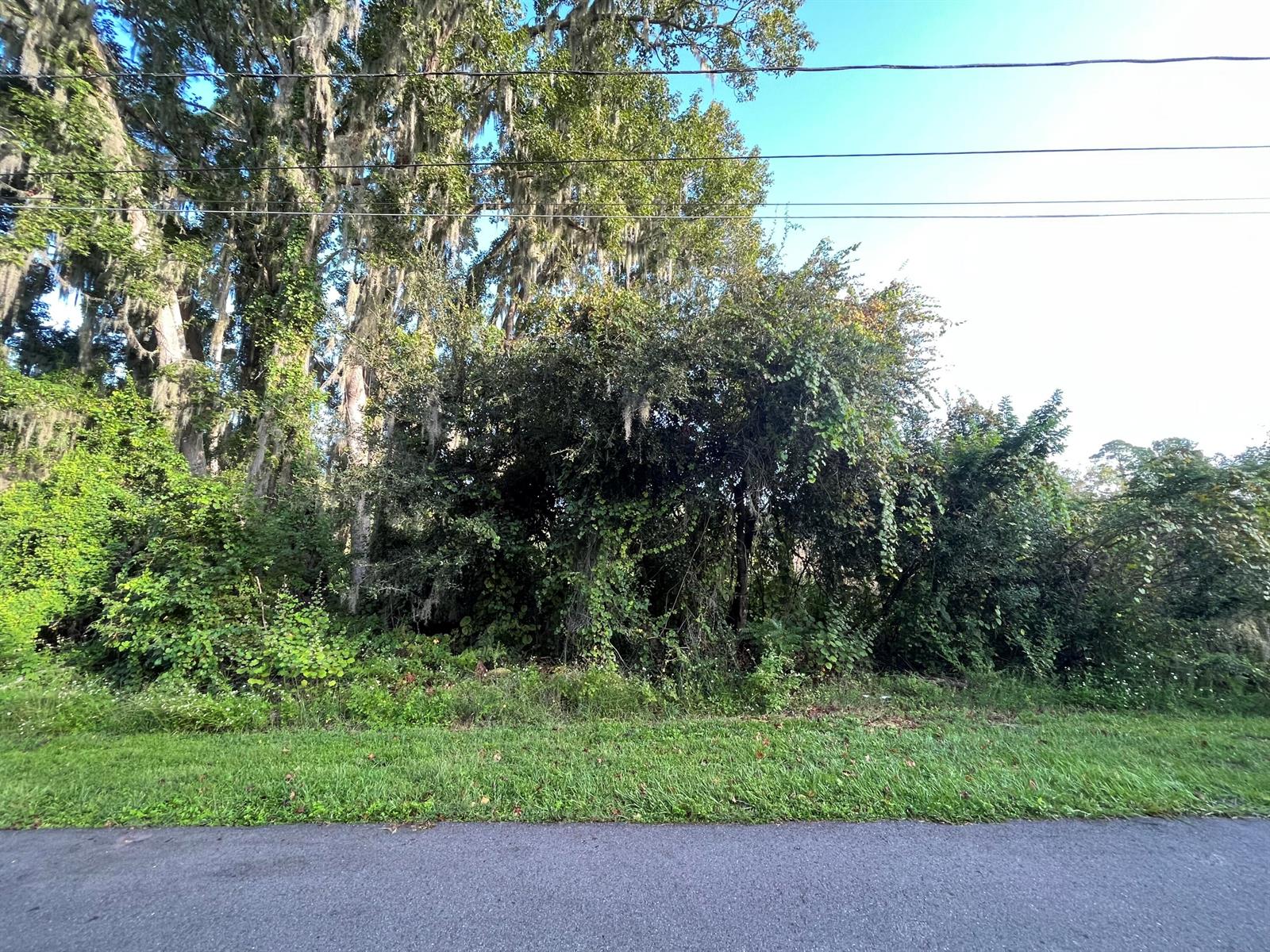   / 0  sq. ft. $ 2026-06-30 0 foto