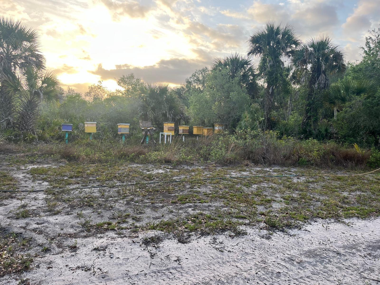 See details / 0 sq. ft. $ 2026-07-01 0 Photo