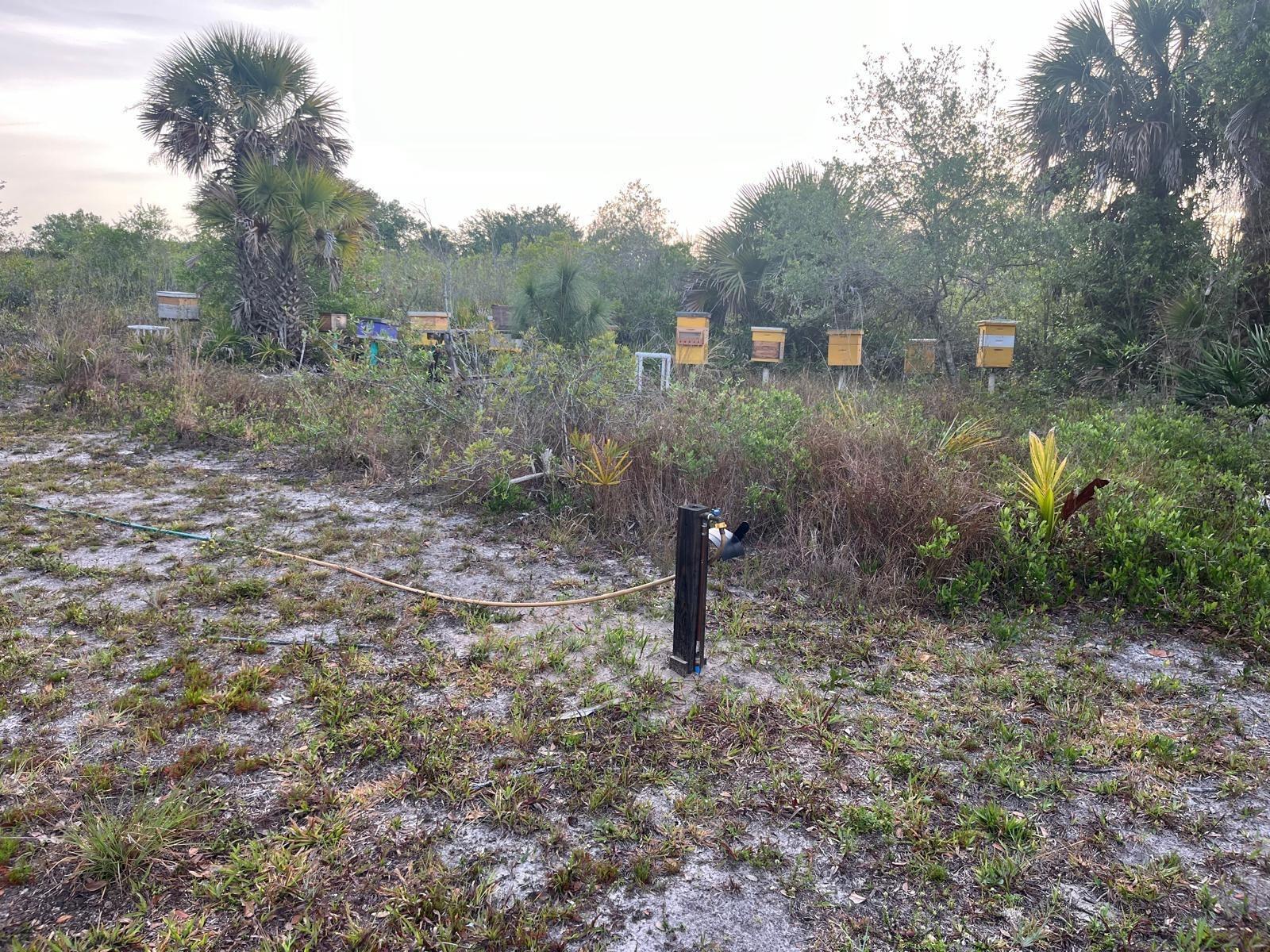 See details / 0 sq. ft. $ 2026-07-01 0 Photo