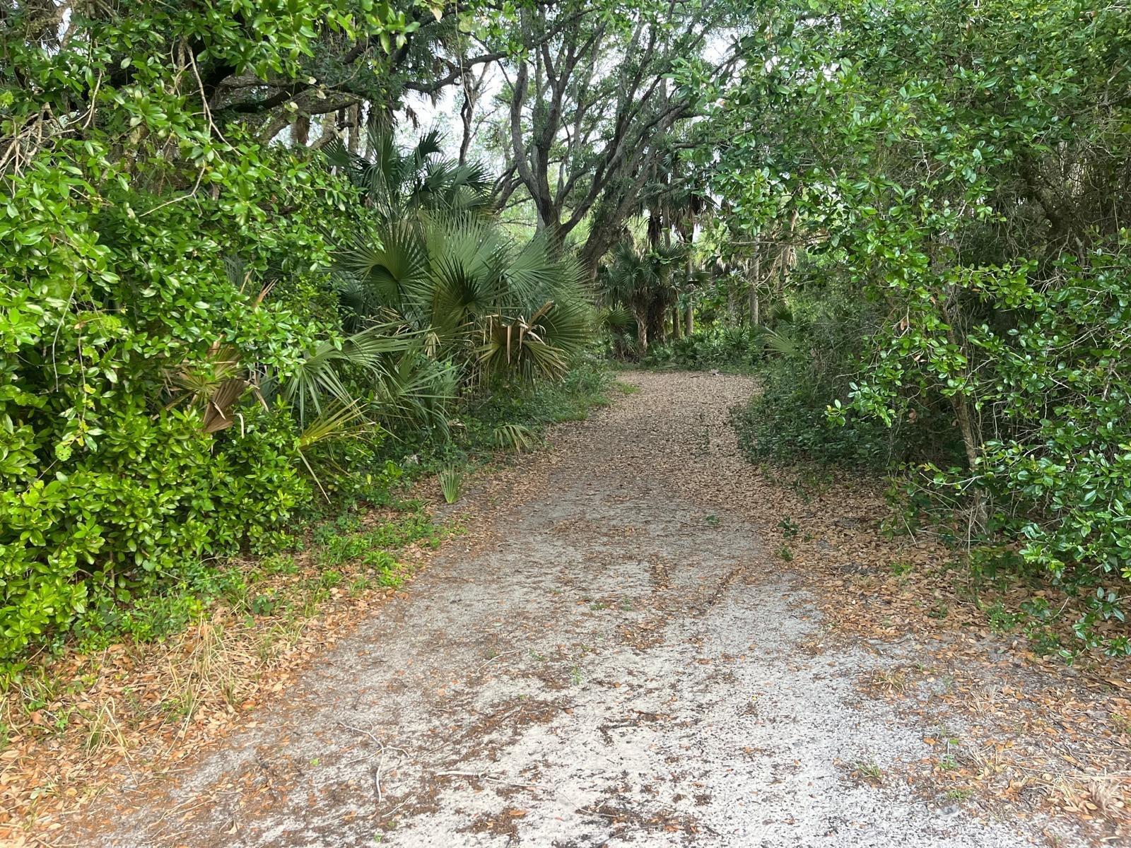See details / 0 sq. ft. $ 2026-07-01 0 Photo