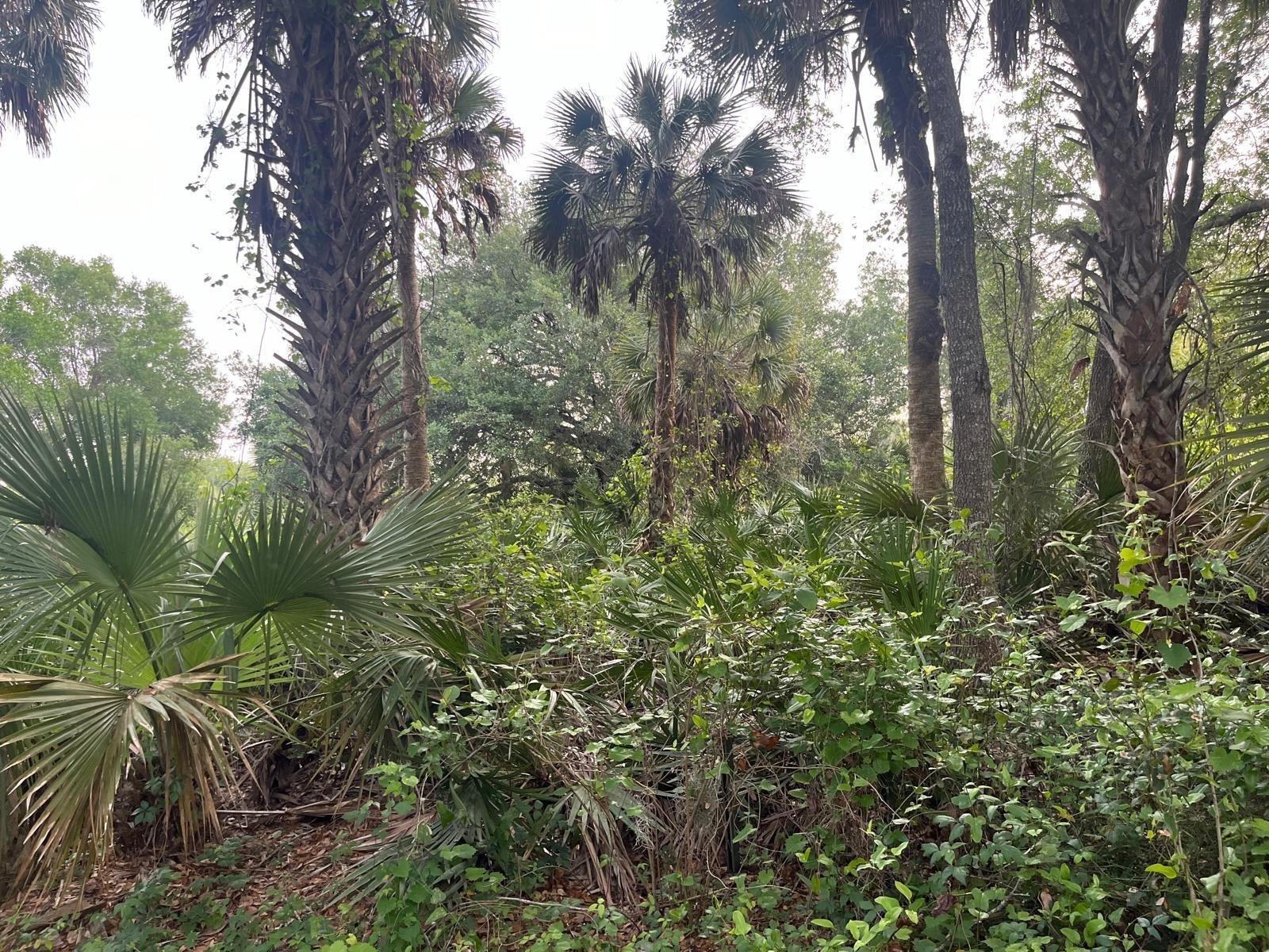 See details / 0 sq. ft. $ 2026-07-01 0 Photo