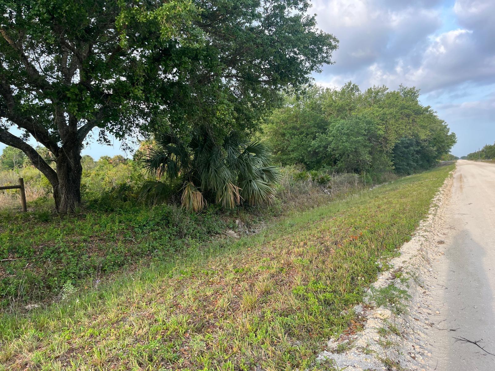 See details / 0 sq. ft. $ 2026-07-01 0 Photo