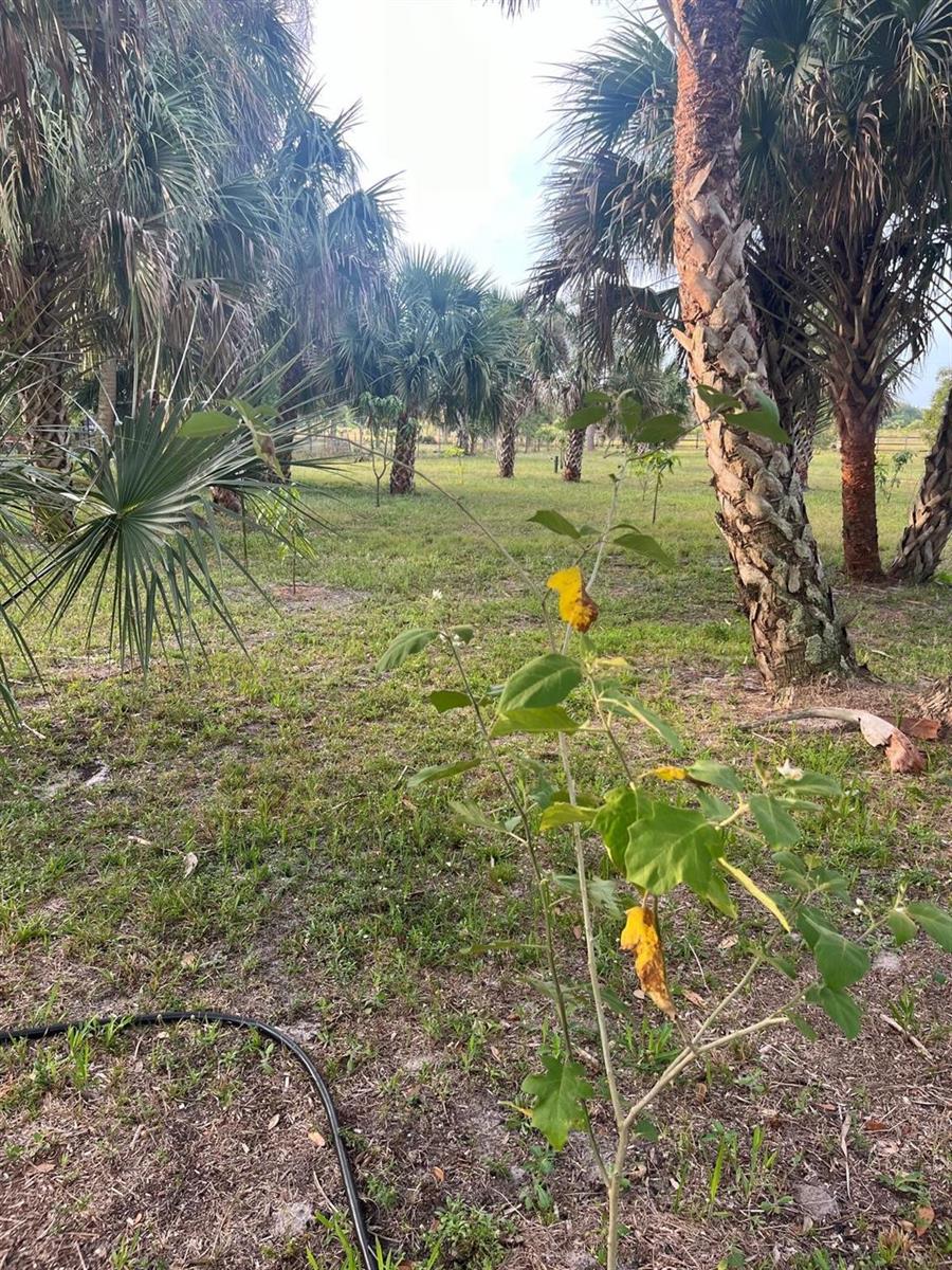 See details / 0 sq. ft. $ 2026-07-01 0 Photo