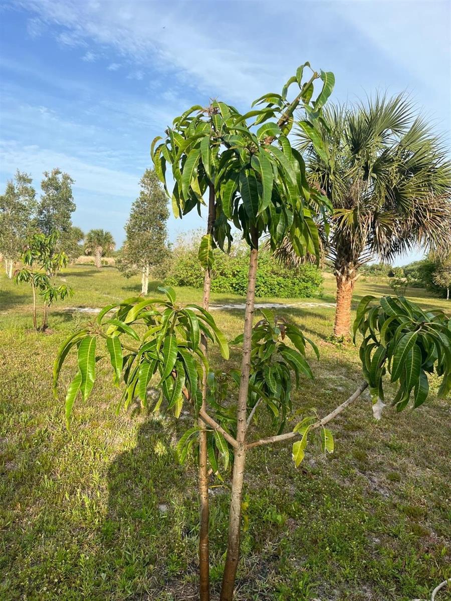 See details / 0 sq. ft. $ 2026-07-01 0 Photo