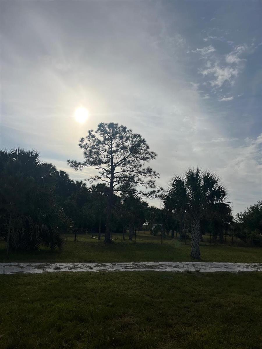 See details / 0 sq. ft. $ 2026-07-01 0 Photo