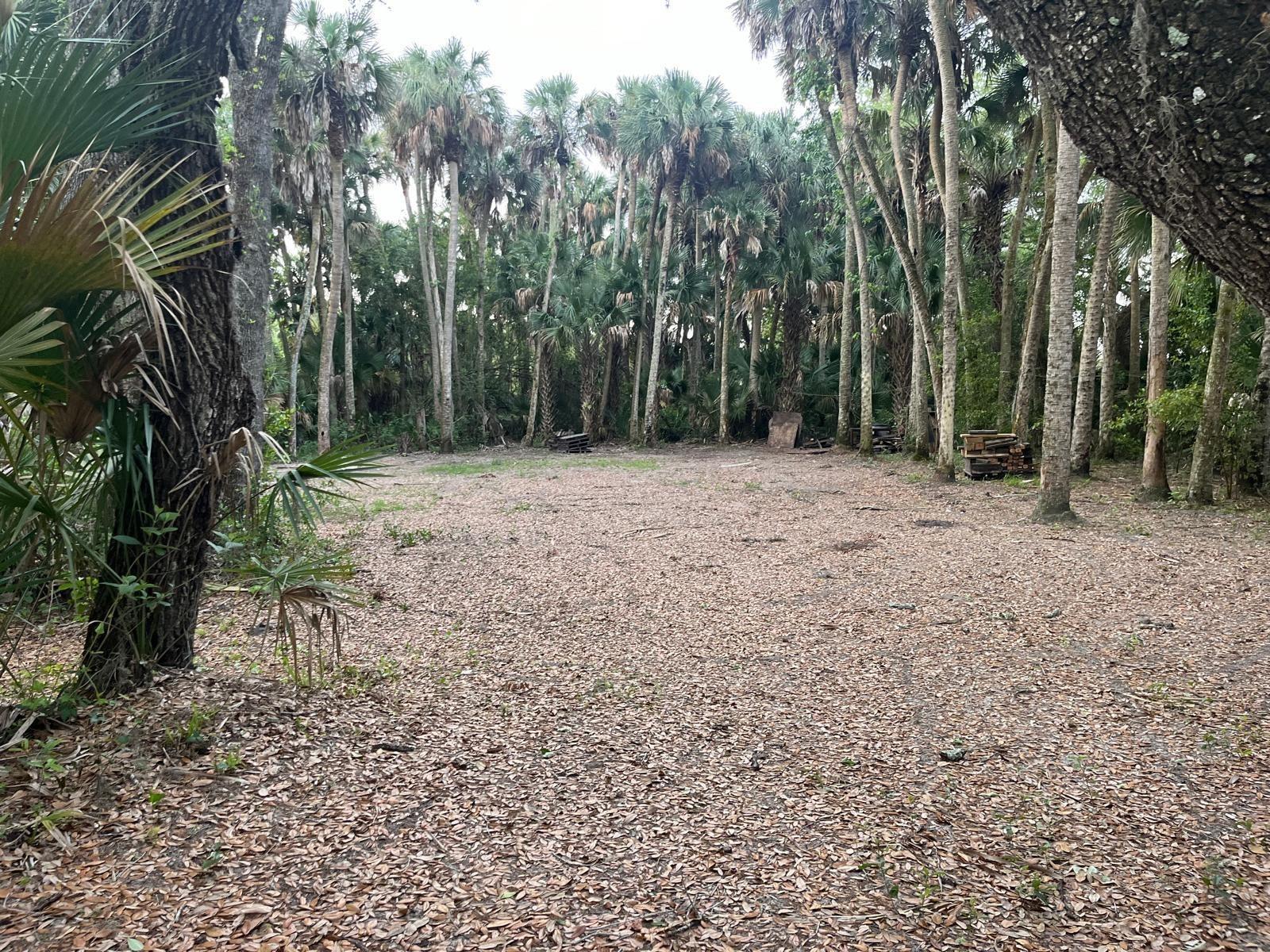 See details / 0 sq. ft. $ 2026-07-01 0 Photo