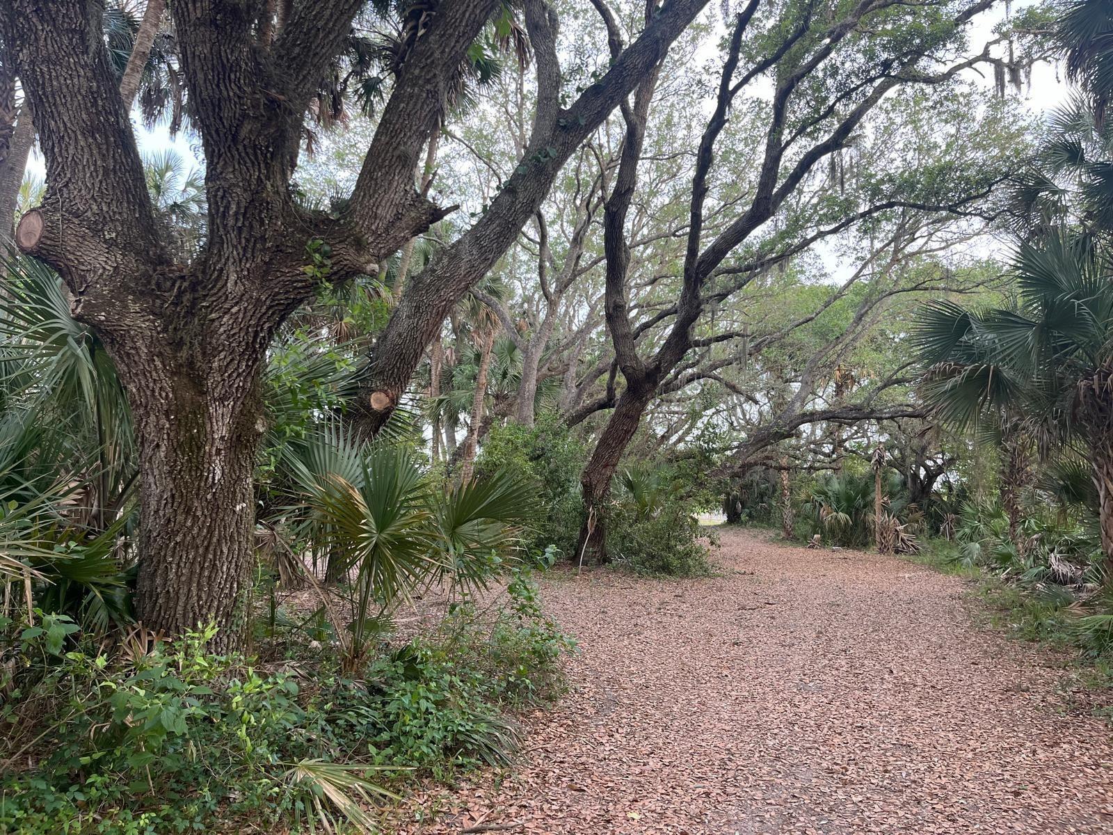 See details / 0 sq. ft. $ 2026-07-01 0 Photo