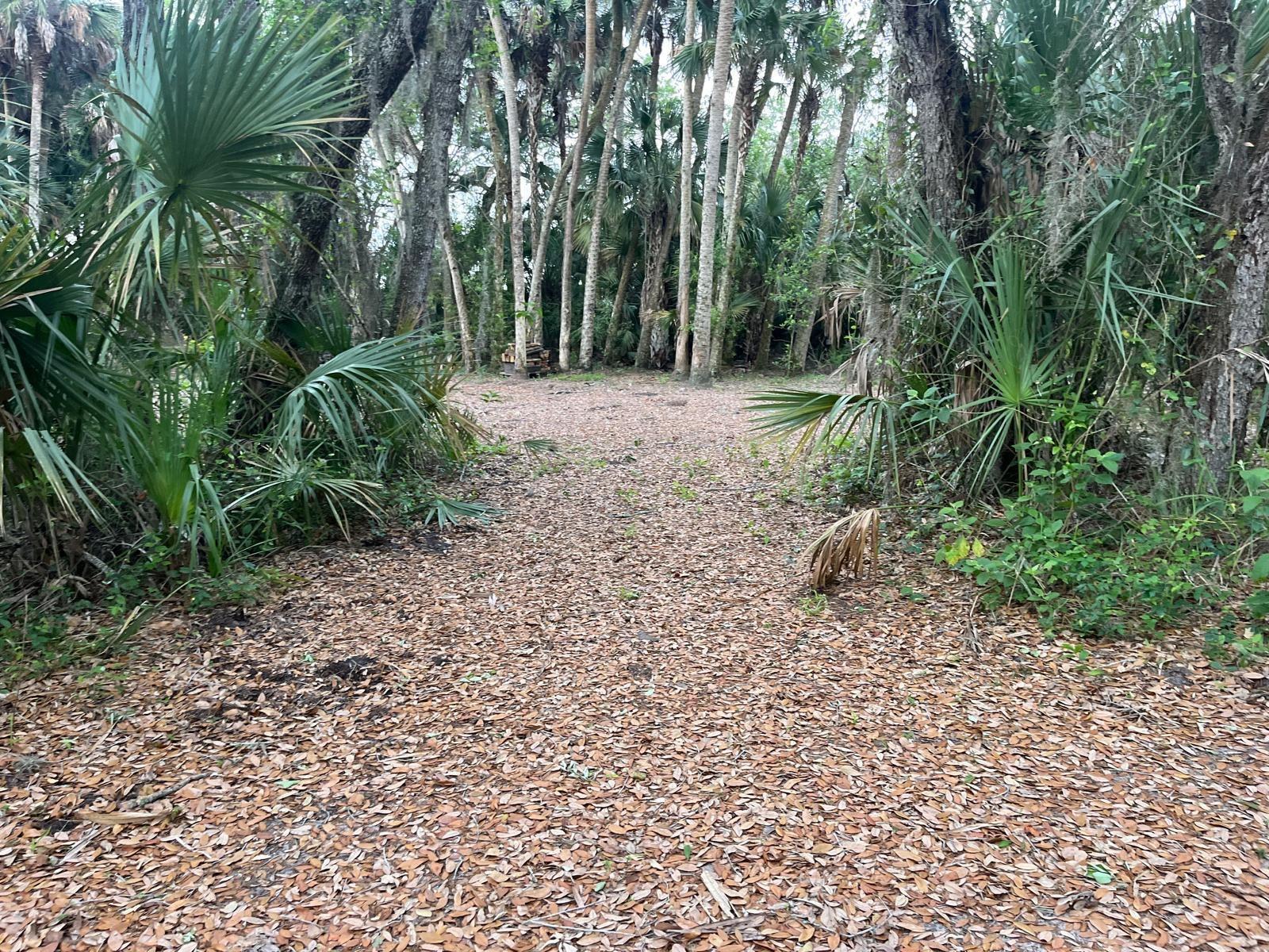 See details / 0 sq. ft. $ 2026-07-01 0 Photo