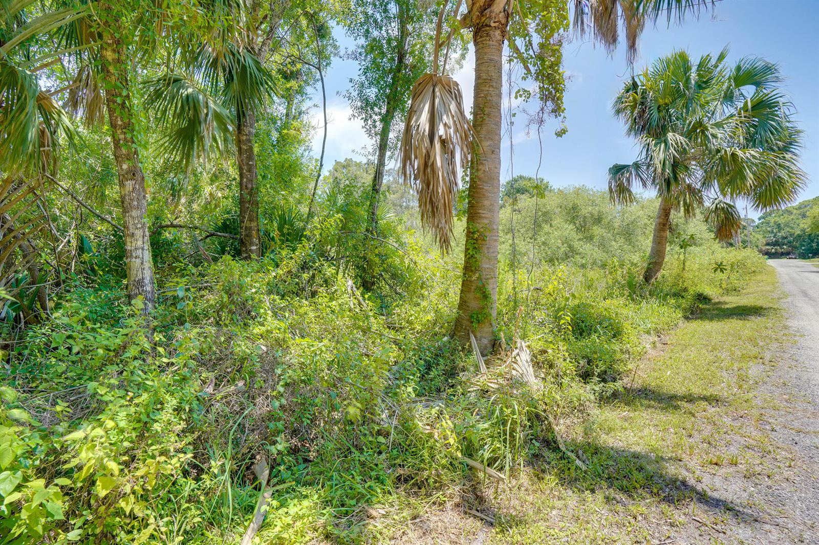   / 0  sq. ft. $ 2026-07-01 0 foto